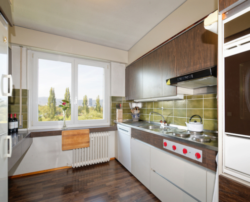 5.5-Zimmer-Einfamilienhaus-Zürich-Höngg-8049-Einliegerwohnung