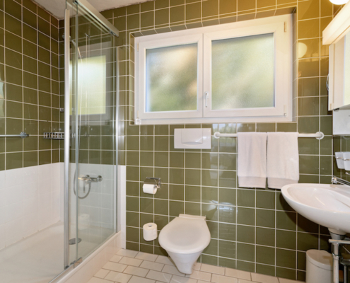 5.5-Zimmer-Einfamilienhaus-Zürich-Höngg-8049-Einliegerwohnung