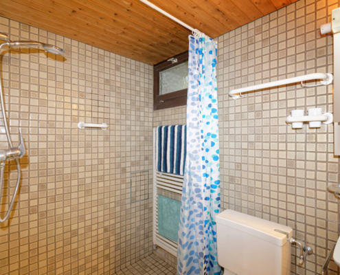 5.5-Zimmer-Einfamilienhaus-Zürich-Höngg-8049-Einliegerwohnung