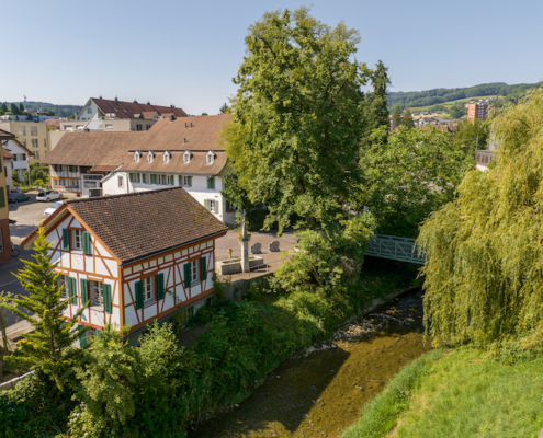 4.5-Zimmer-Wohnung-Dietikon-Zürich