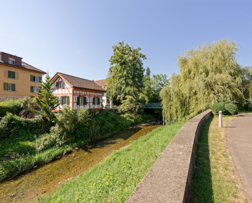 4.5-Zimmer-Wohnung-Dietikon-Zürich