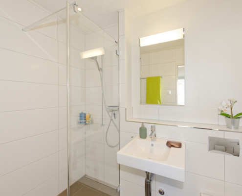 6.5-Zimmer-Einfamilienhaus-Egg-Zürich