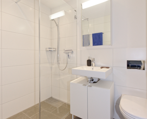 6.5-Zimmer-Einfamilienhaus-Egg-Zürich
