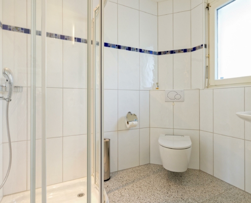 6.5-Zimmer-Einfamilienhaus-Volketswil-Zuerich