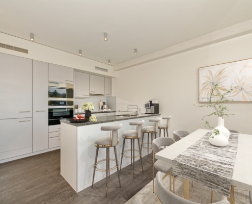4.5-Zi-Attiakwohnung-Wettingen
