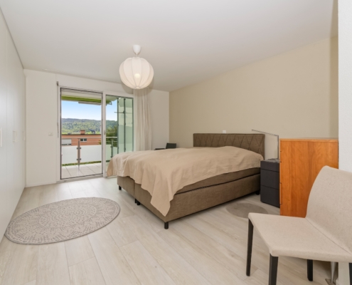 5.5-Terrassenwohnung-Geroldswil